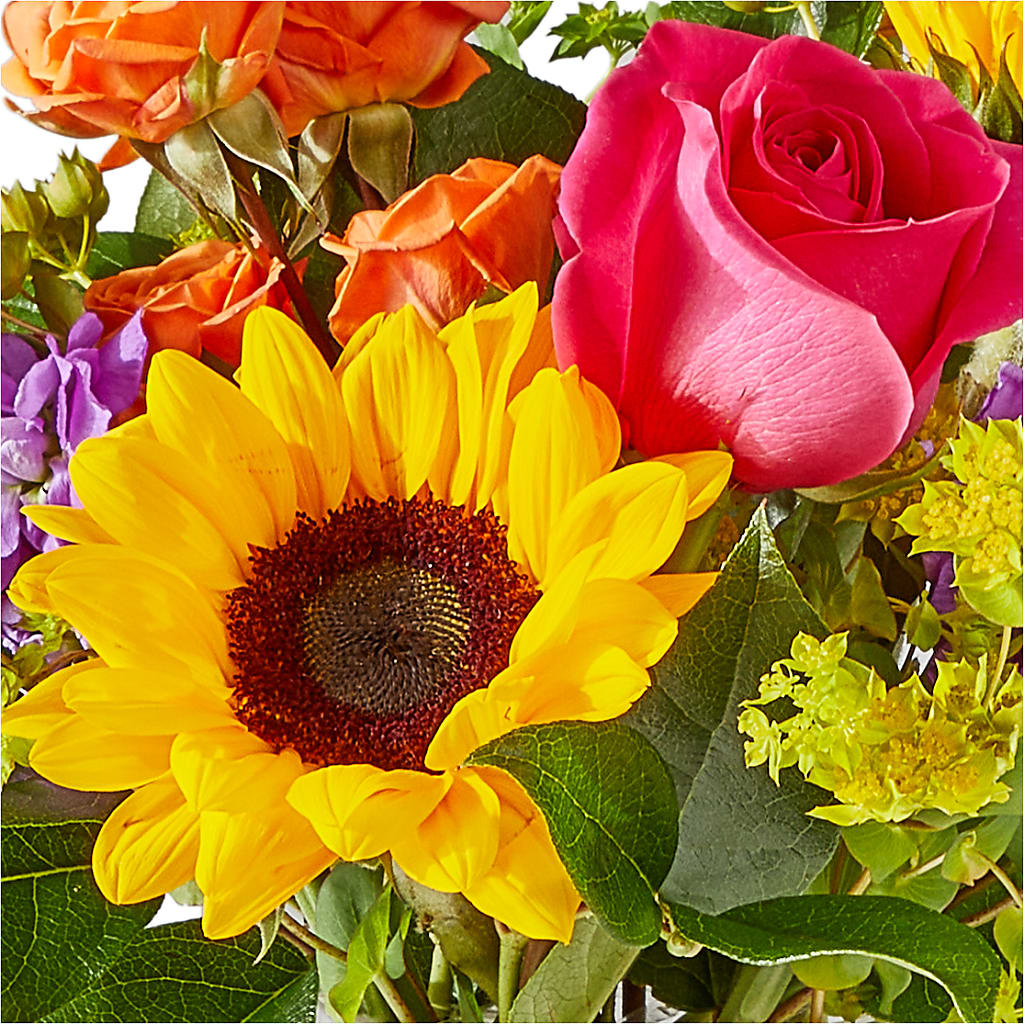 Vibrant Greetings Bouquet –  Karnation Korner Florist, Dunedin FL