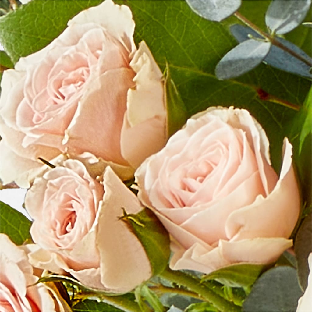Inspired Bouquet –  Karnation Korner Florist, Dunedin FL