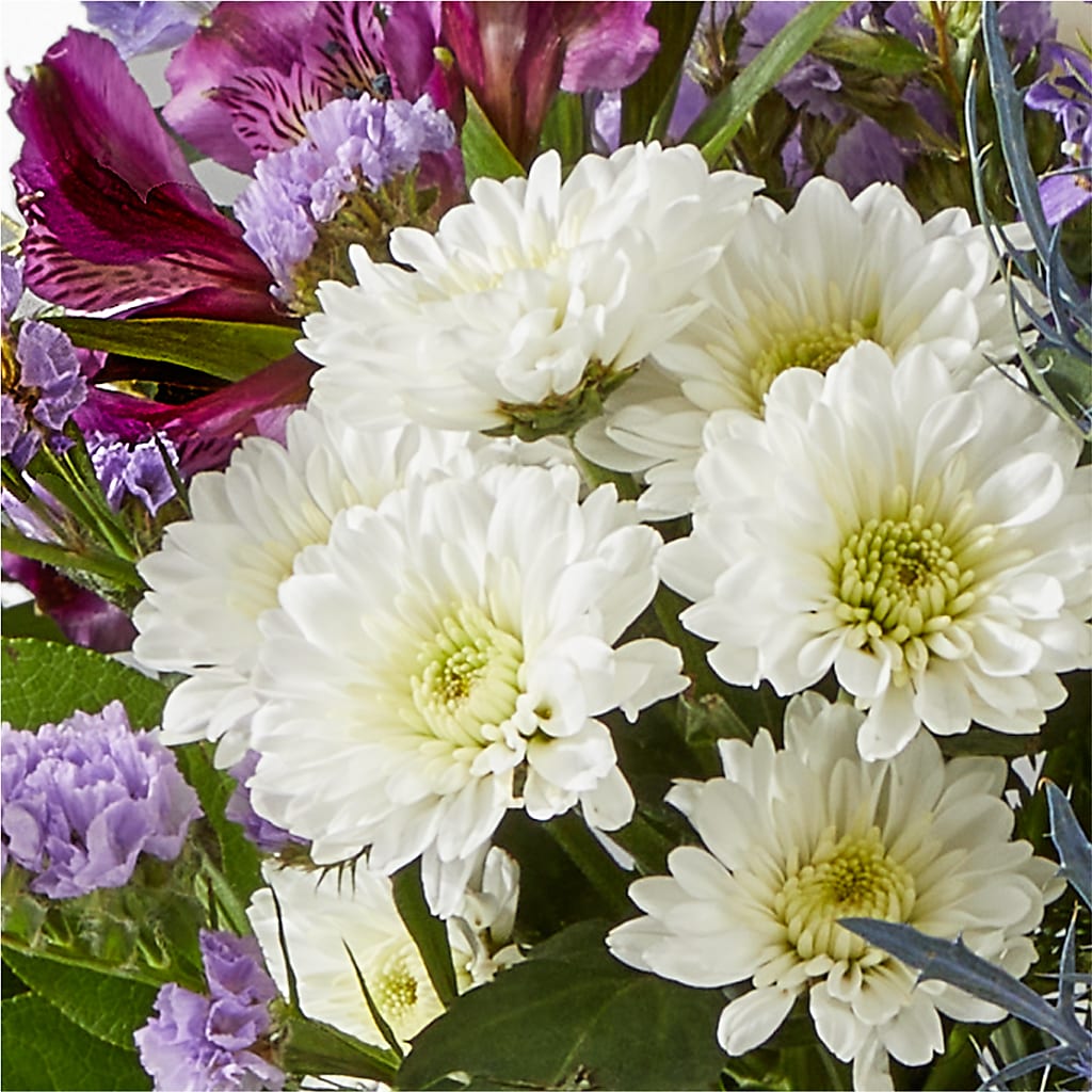 Shooting Star Bouquet –  Karnation Korner Florist, Dunedin FL