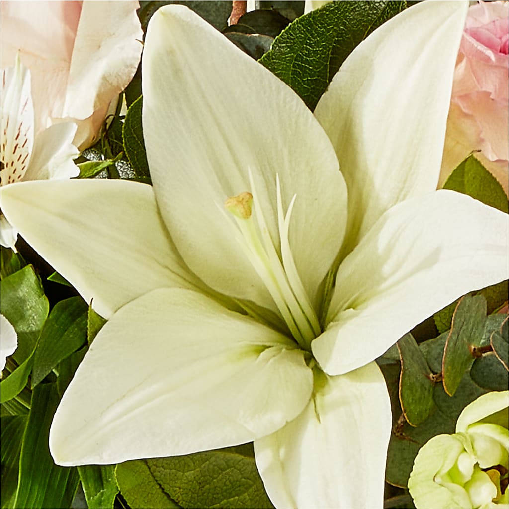 Ballet Slippers Bouquet –  Karnation Korner Florist, Dunedin FL