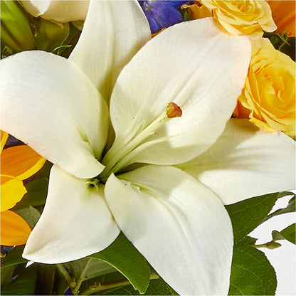 Wonderfully Sunny Bouquet –  Karnation Korner Florist, Dunedin FL