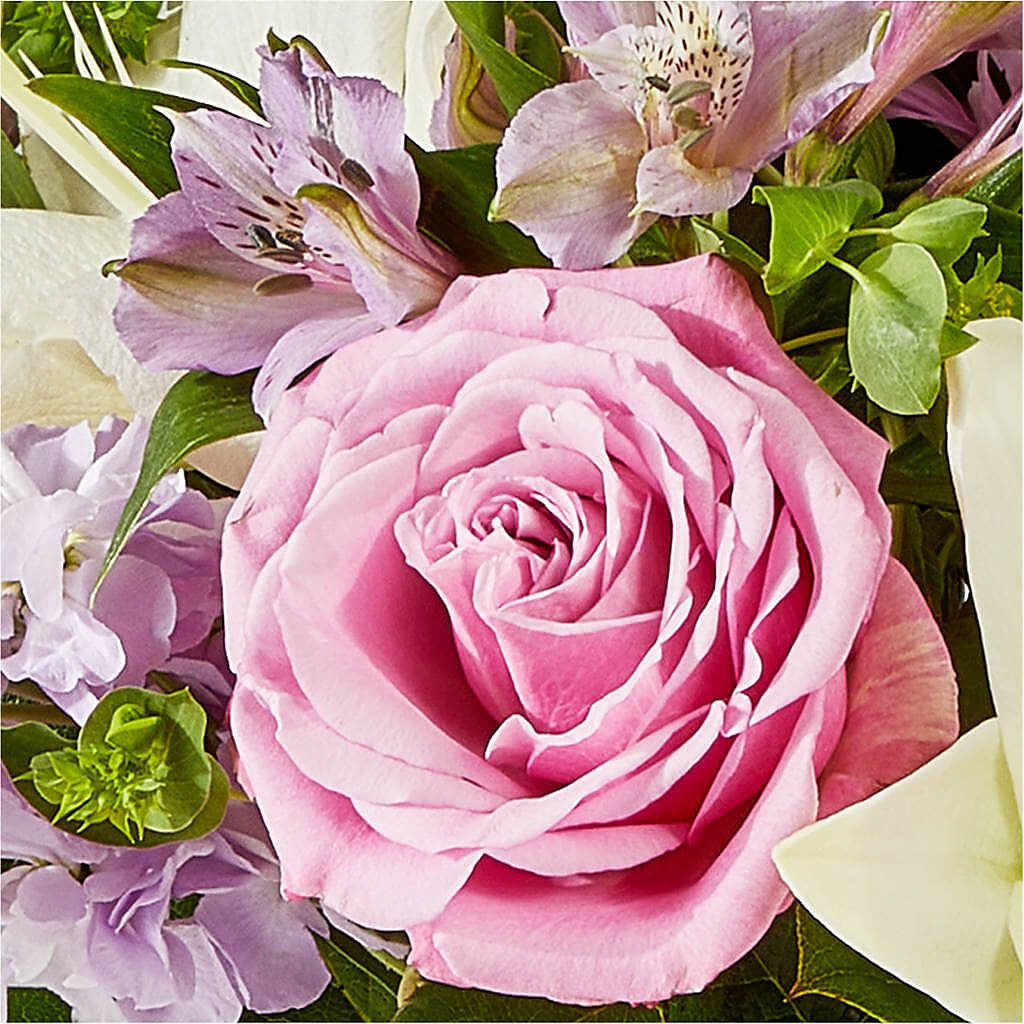 Daydreamer Bouquet –  Karnation Korner Florist, Dunedin FL
