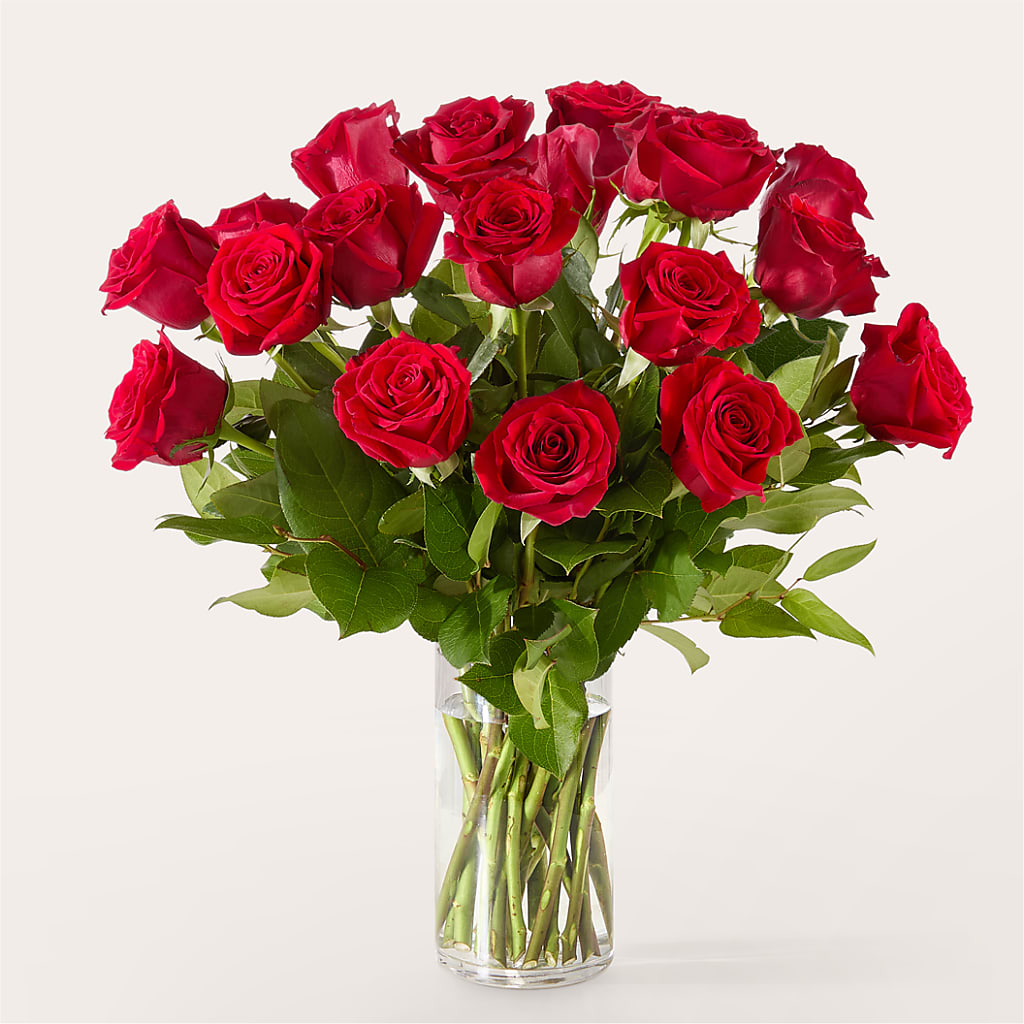 The One Red Rose Bouquet –  Karnation Korner Florist, Dunedin FL