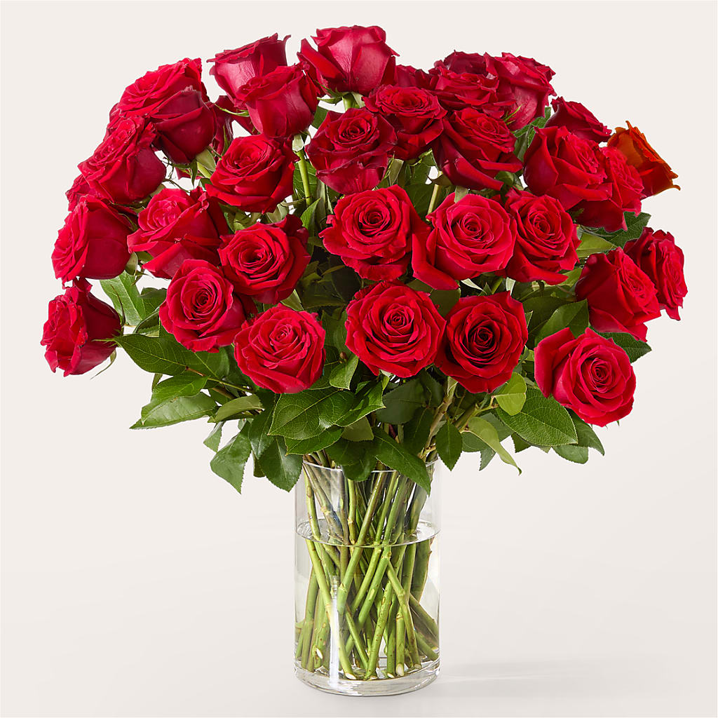 The One Red Rose Bouquet –  Karnation Korner Florist, Dunedin FL