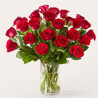 The One Red Rose Bouquet –  Karnation Korner Florist, Dunedin FL