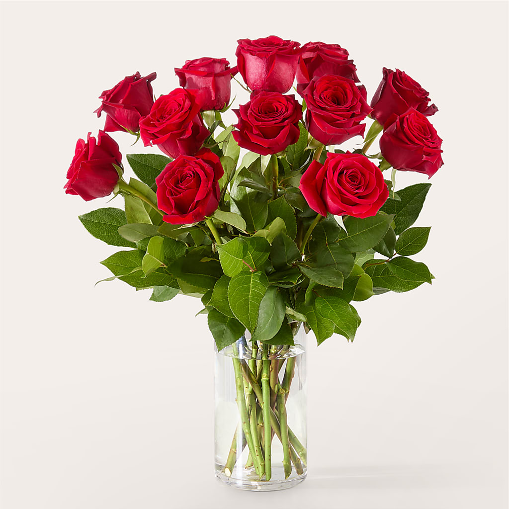 The One Red Rose Bouquet –  Karnation Korner Florist, Dunedin FL