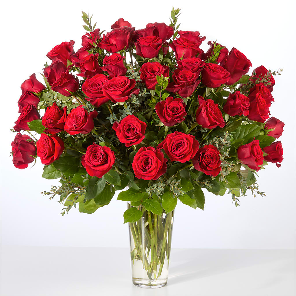 Forever Yours Fifty Stem Red Rose Bouquet –  Karnation Korner Florist, Dunedin FL