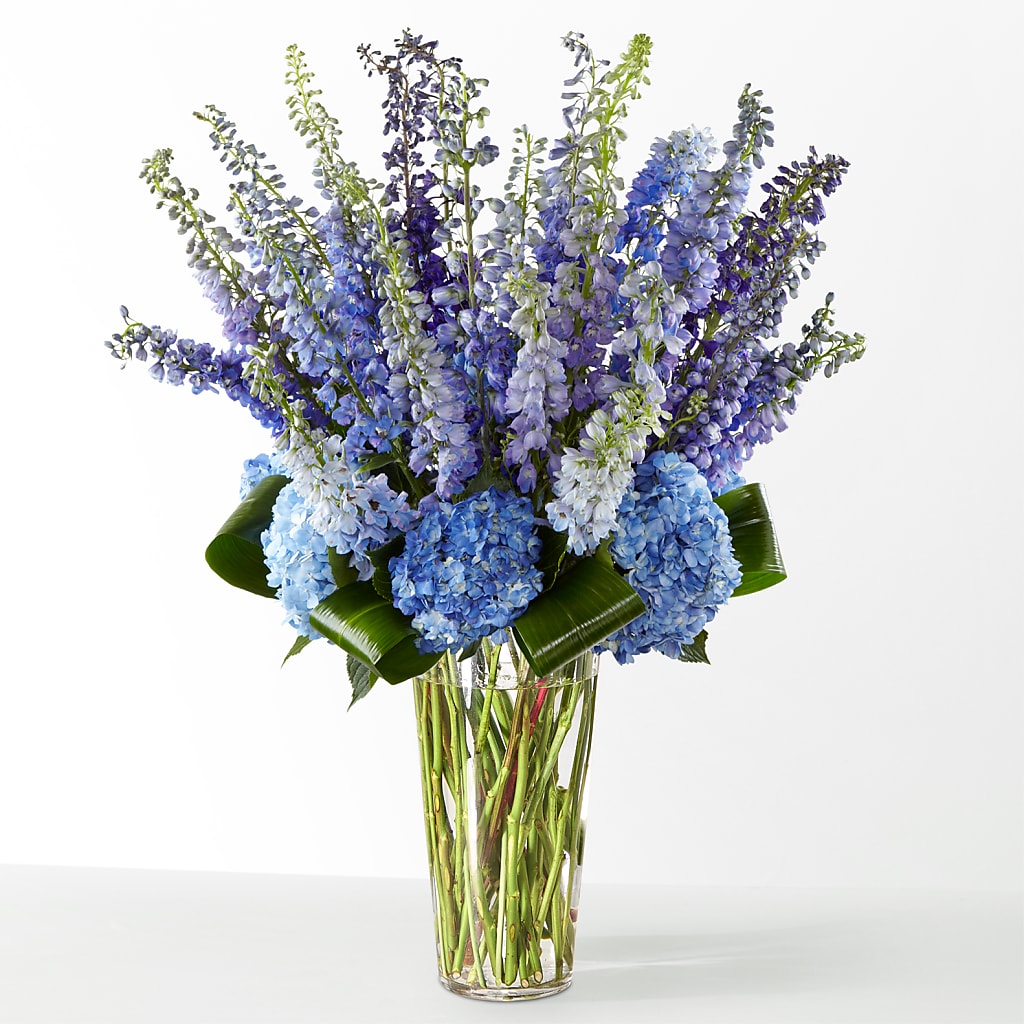 The Editorial –  Karnation Korner Florist, Dunedin FL