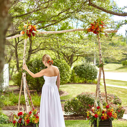 Arbor of Love Archway –  Karnation Korner Florist, Dunedin FL