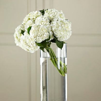 White Hydrangea Hand-Tied Bouquet –  Karnation Korner Florist, Dunedin FL