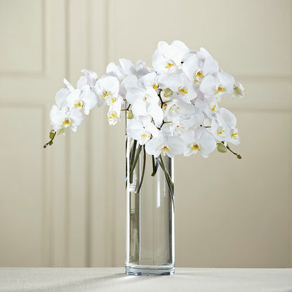 White Phalaenopsis Bouquet –  Karnation Korner Florist, Dunedin FL