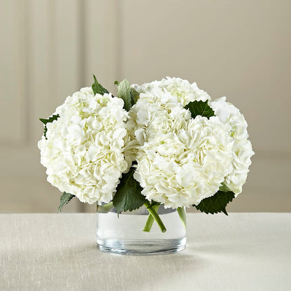 White Hydrangea Bouquet –  Karnation Korner Florist, Dunedin FL
