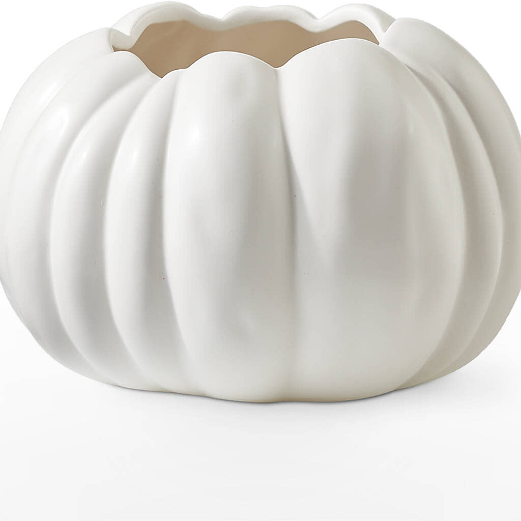Pumpkin to Talk About Bouquet –  Karnation Korner Florist, Dunedin FL